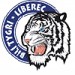 HC bílí tygři Liberec
